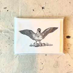 Flyby Provisions- Vintage Bird Card Stationary Set of 6