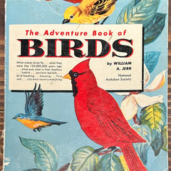 Flyby - Vintage book - The adventure book of birds