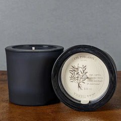 Los Poblanos - Tierra / Sage Candle (2.5 oz)
