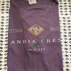 Flyby - Vintage Clothing - Sandia Crest Tee