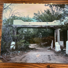 Abandoned building overgrown with trees and underbrush on a wooden surface