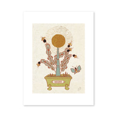 Nicky Ovitt - Print - Fascination