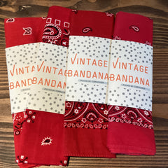 Flyby - Vintage Bandana
