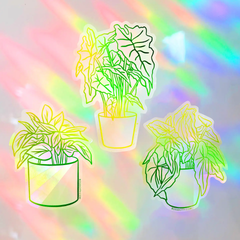 Boss Dotty - House Plants Suncatcher Sticker