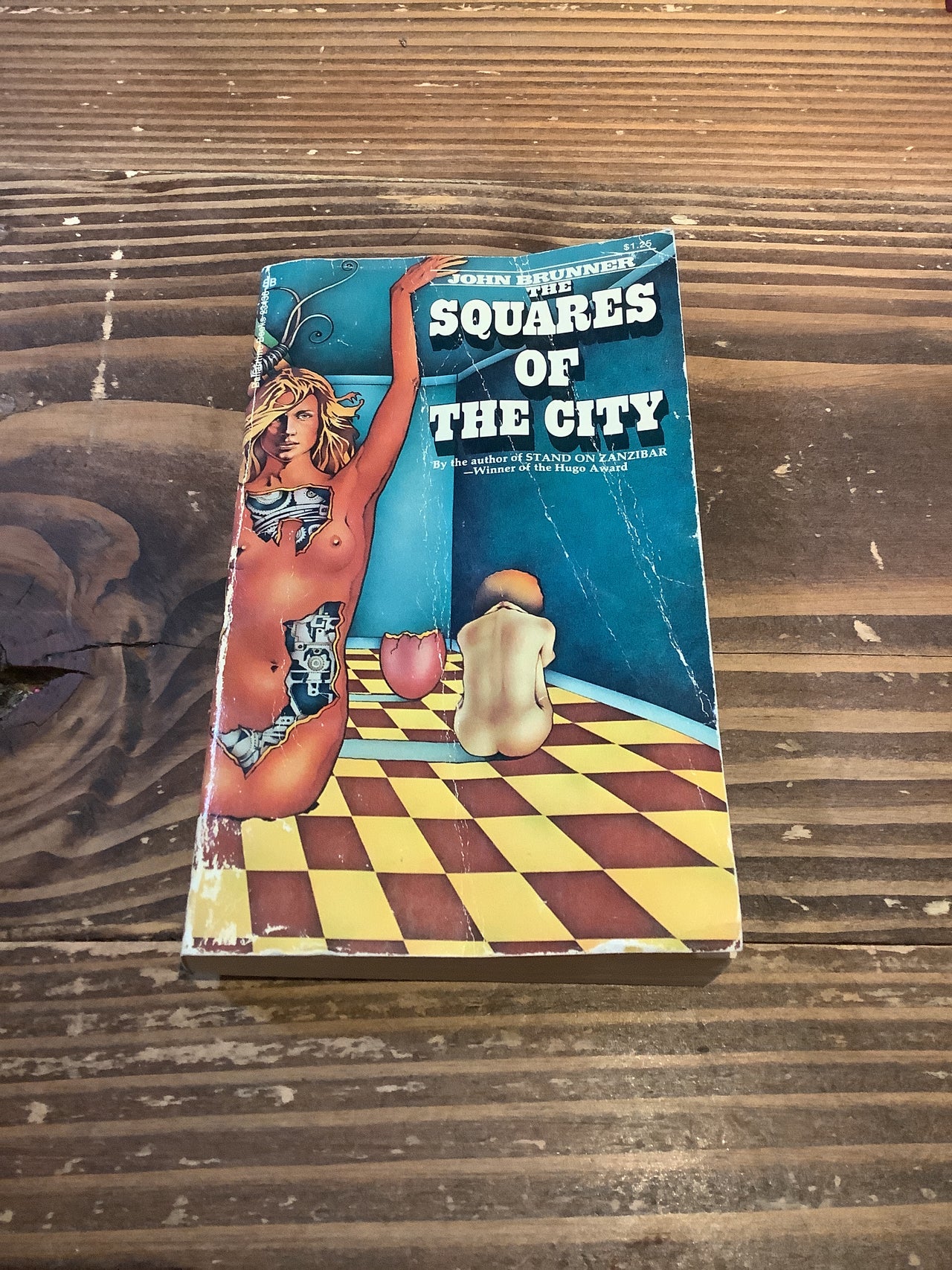 Vintage Books - third Edition 1973 The Squares of The City Paper Back