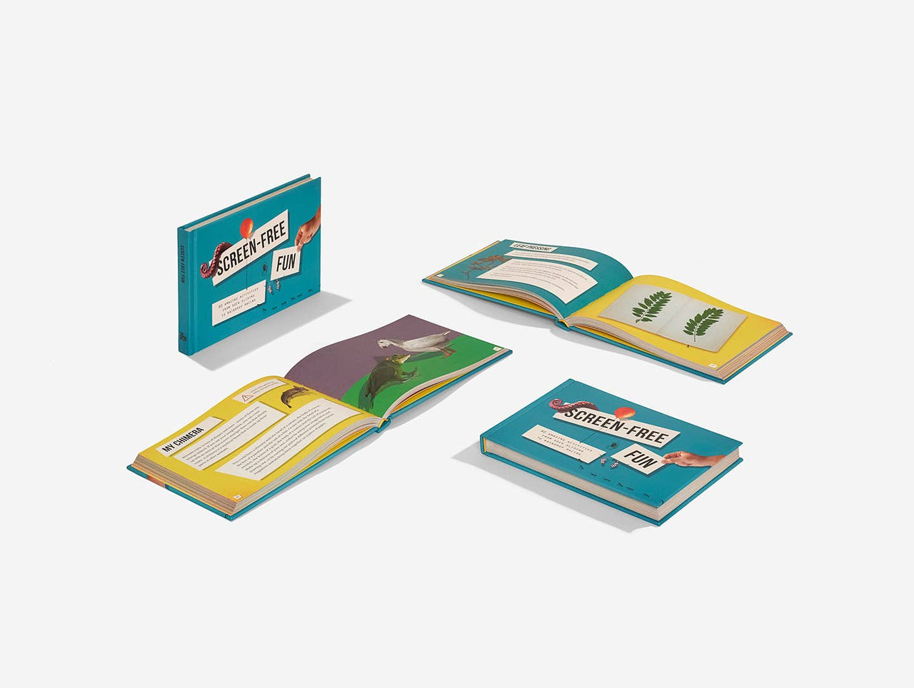Screen Free Fun - Hardback