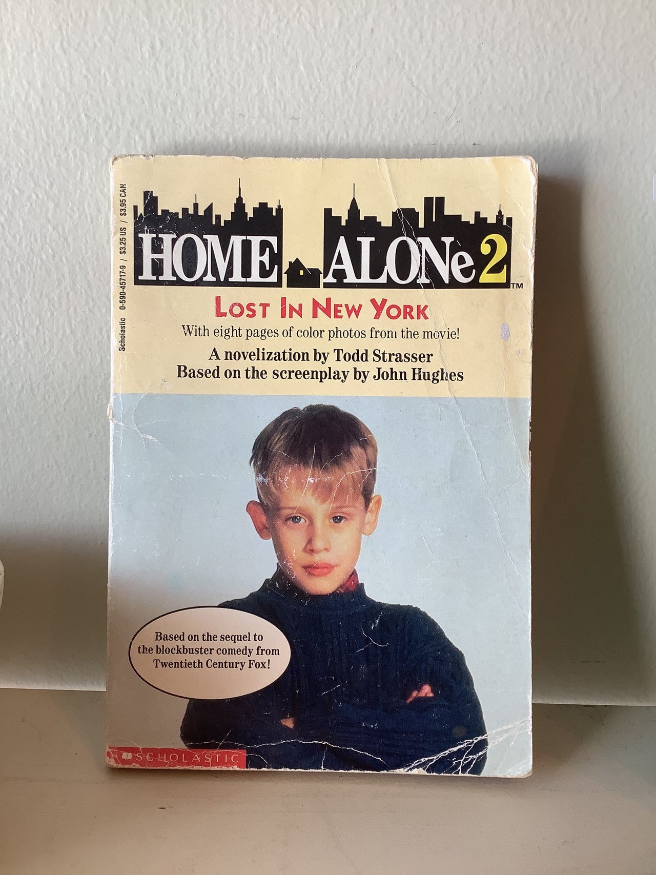 Flyby Provisions - Vintage Books - Home Alone 2 book