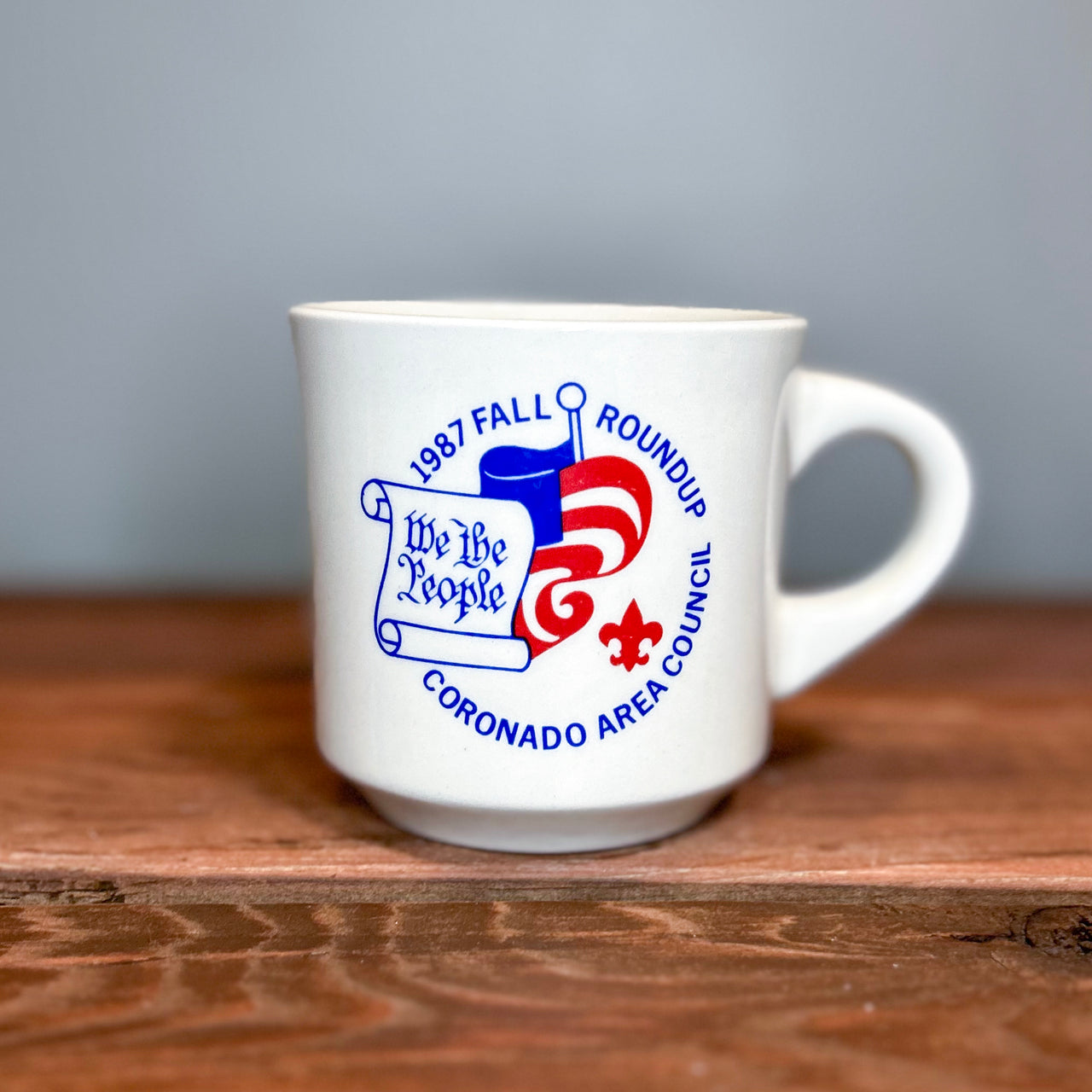 Flyby - Vintage Mug - Boy Scouts Assorted Mugs (12oz)