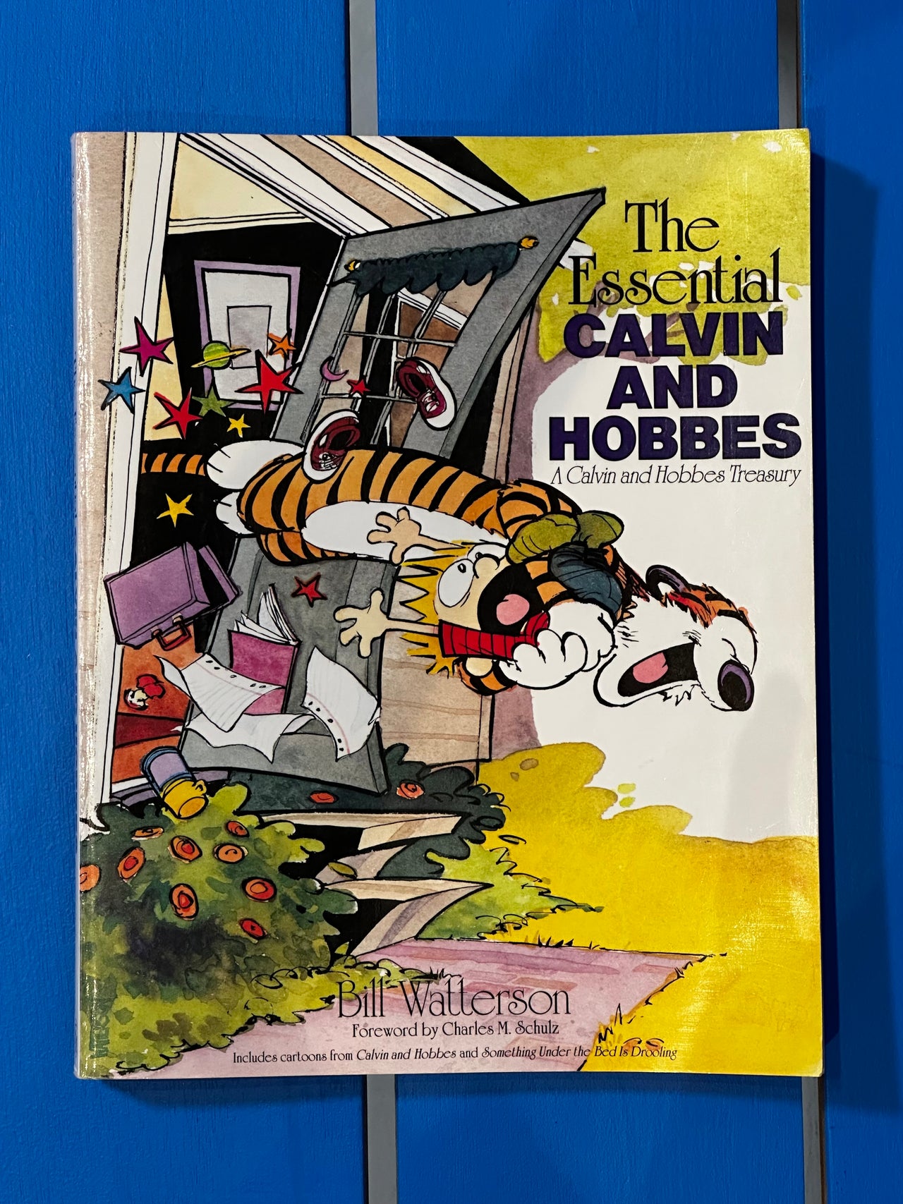 The Essential Calvin and Hobbes by Bill Watterson