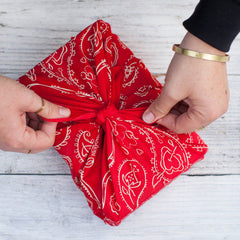 Dixon Bandana (Red)