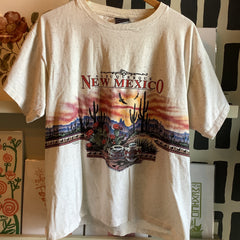 Vintage Clothing - Vintage Albuquerque New Mexico tee desert scape