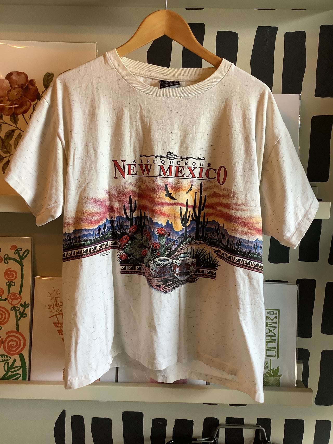 Vintage Clothing - Vintage Albuquerque New Mexico tee desert scape