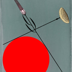 Heart Study 1