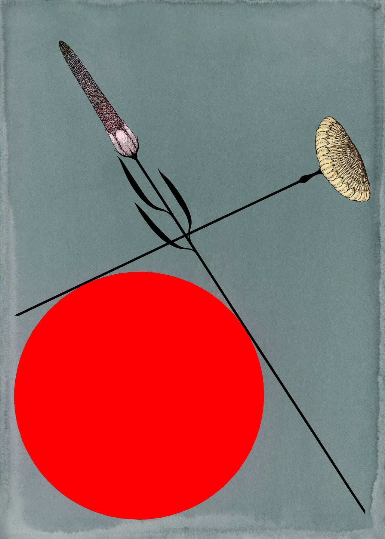 Heart Study 1