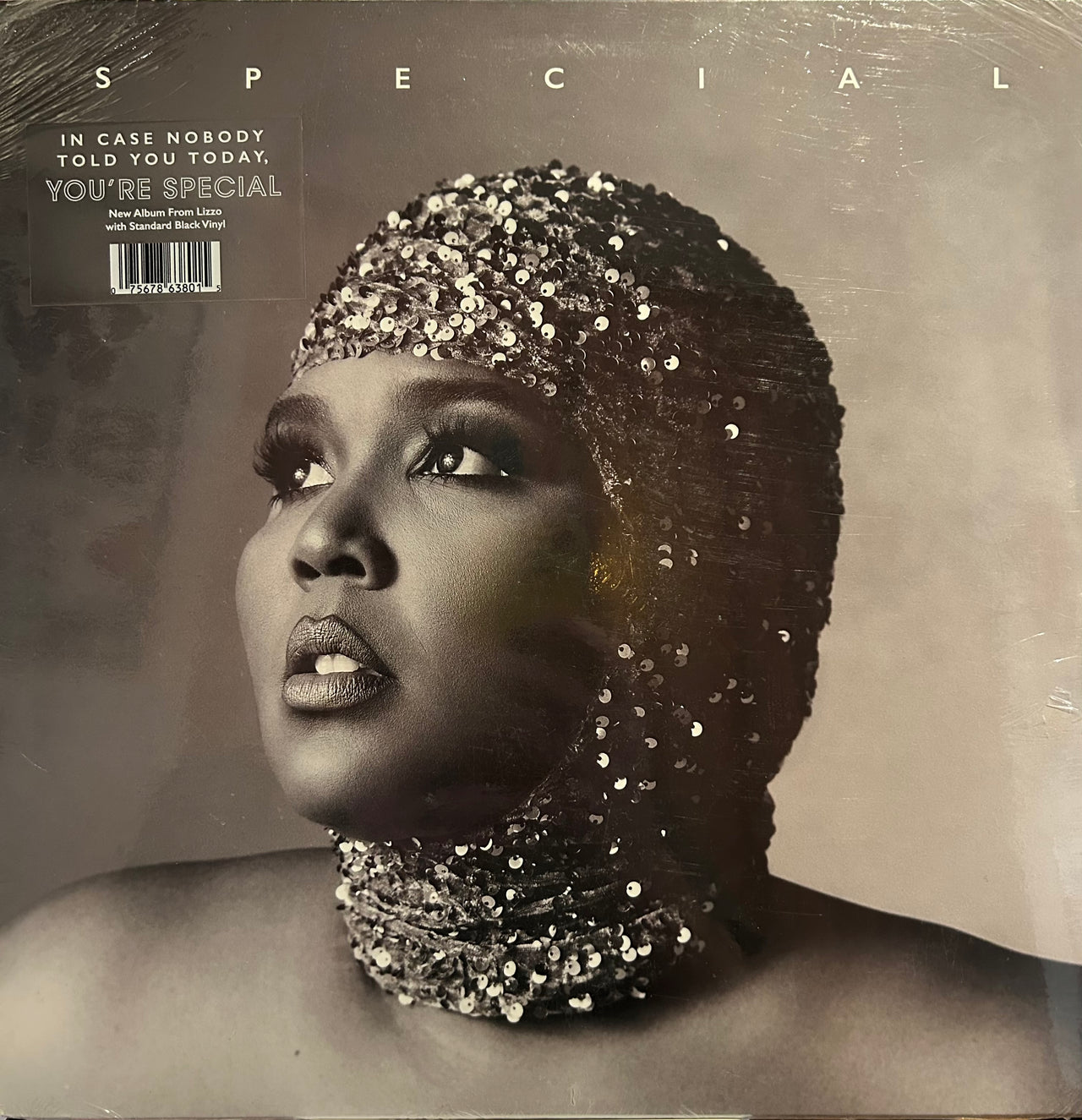 Flyby Provisions - Vintage LP Vinyl Record - Lizzo “Special”