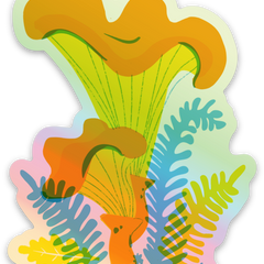 Chantrelle - Holographic Vinyl Sticker  