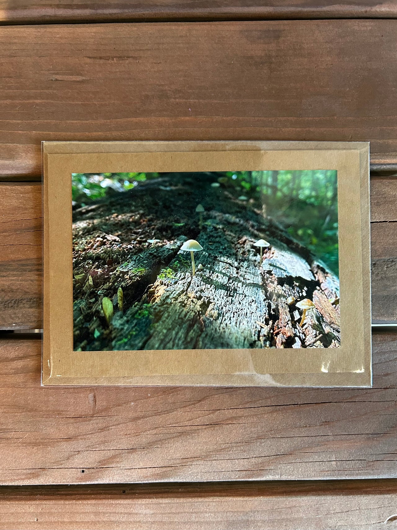 Jenny Lievois - Greeting Card - Mushroom