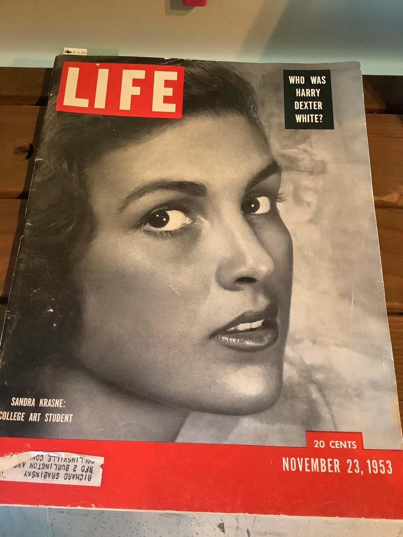 Apple Vintage - Vintage Books - LIFE magazine November 1953