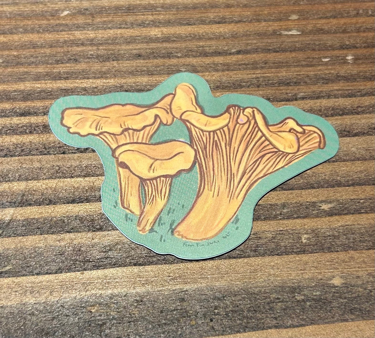 Fenn Fire Studio - Sticker - Chanterelle Mushrooms