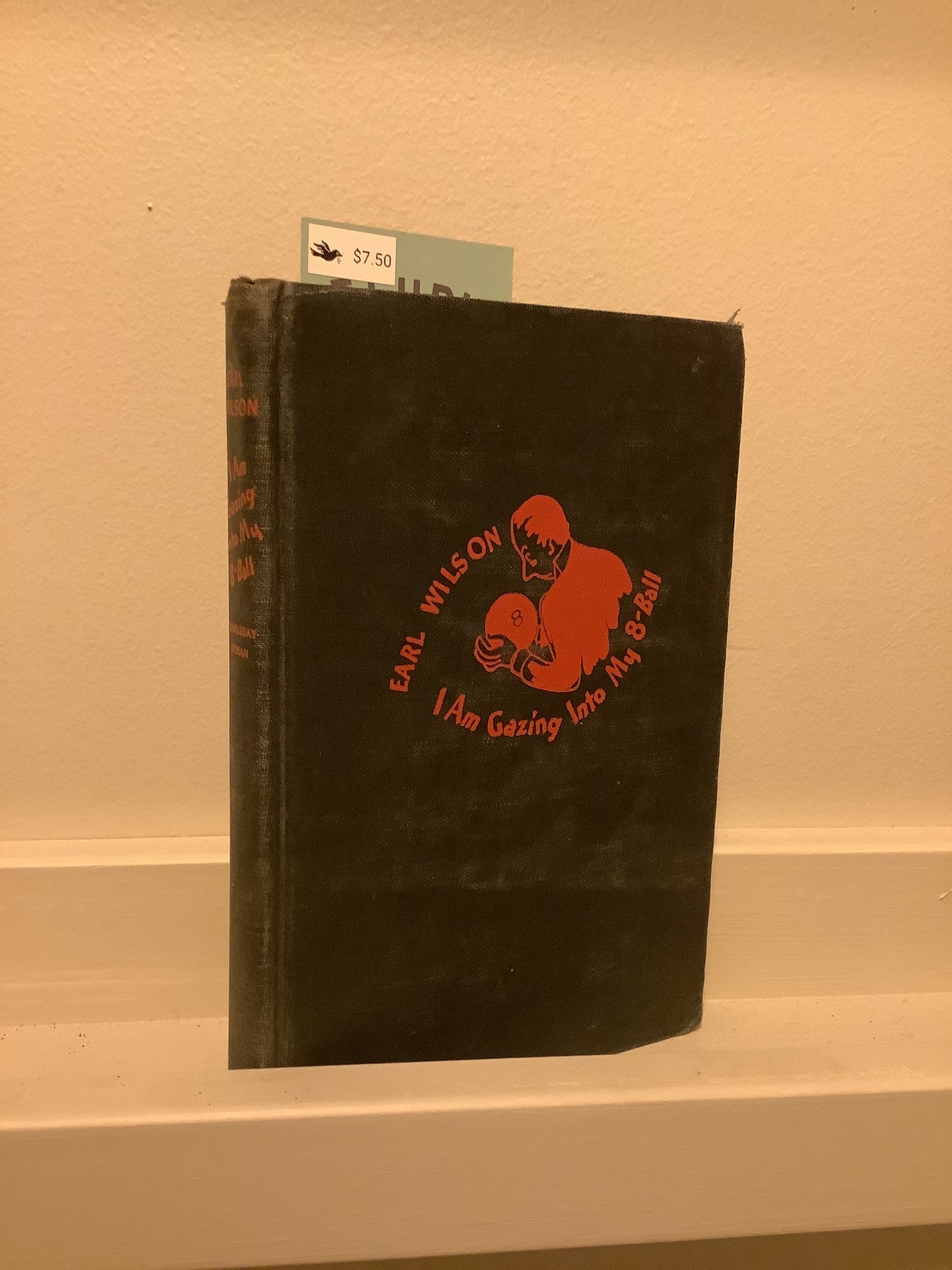 Vintage Books - I Am Gazing Into My 8-Ball