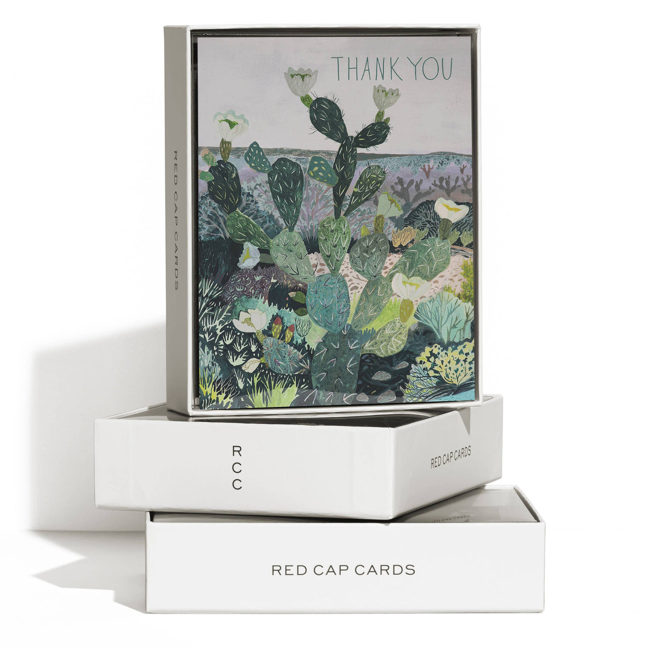 Desert Landscape thank you greeting card: Singles