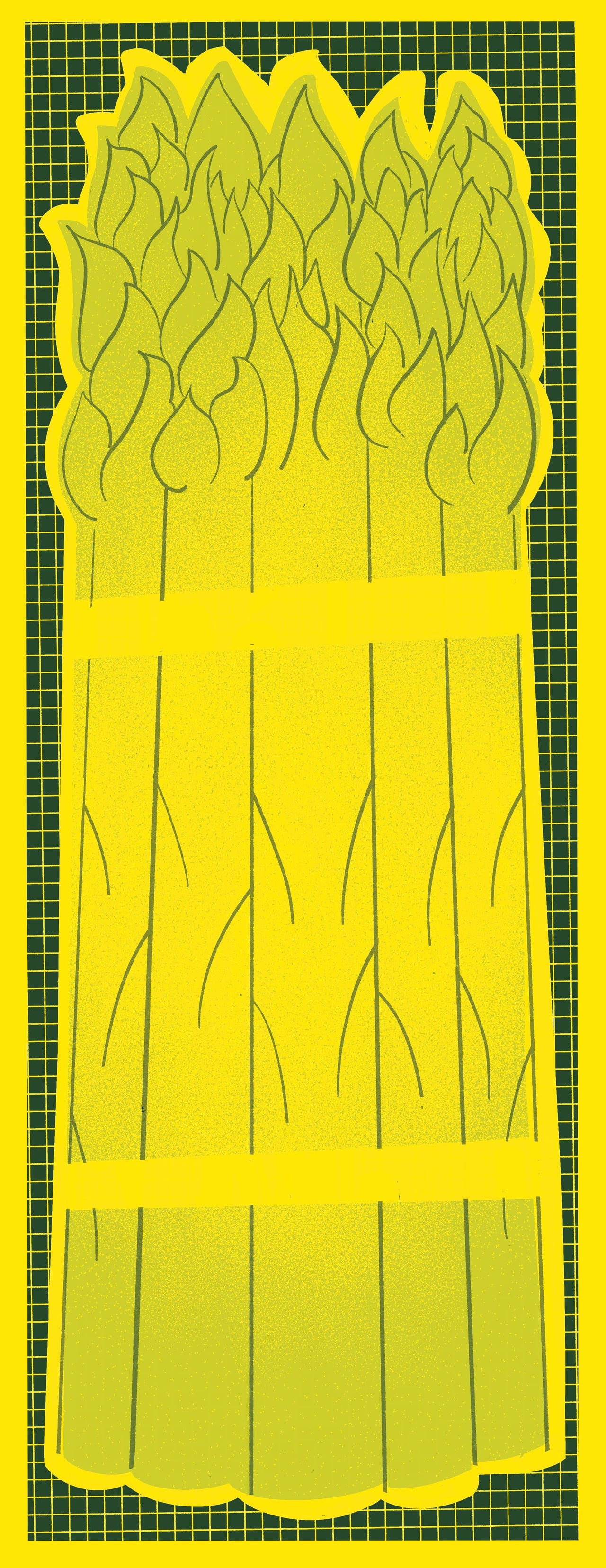 Asparagus - Risograph Market Notepad