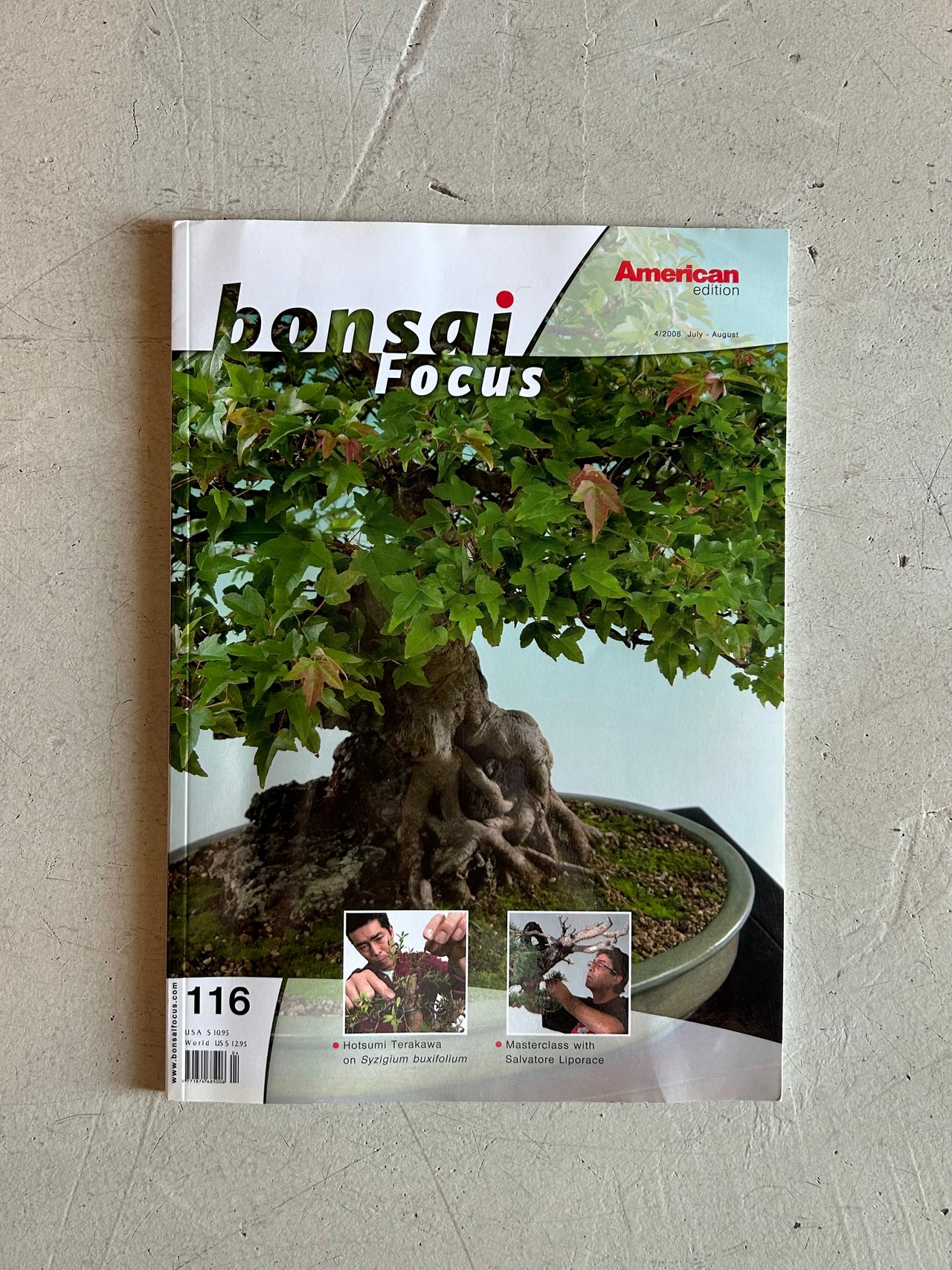 Flyby - Vintage Book -“Bonsai Focus”