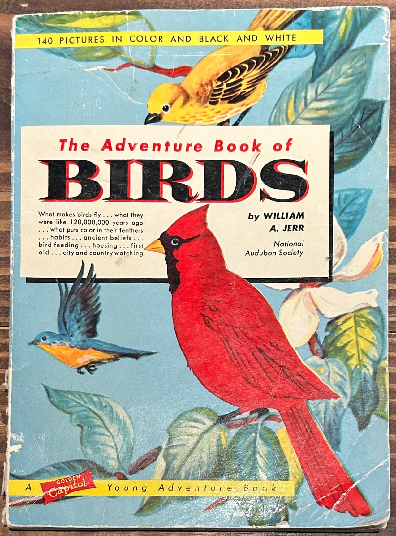 Flyby - Vintage book - The adventure book of birds