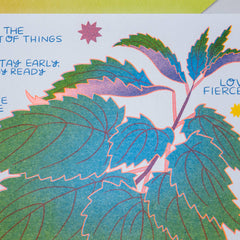 We Can Know Like Nettles - Risograph Art  Print