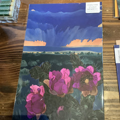 Fenn Fire Studio - Print 11”x17” - The Monsoon Cactus