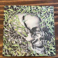 Patrick Turk Sticker - Dust