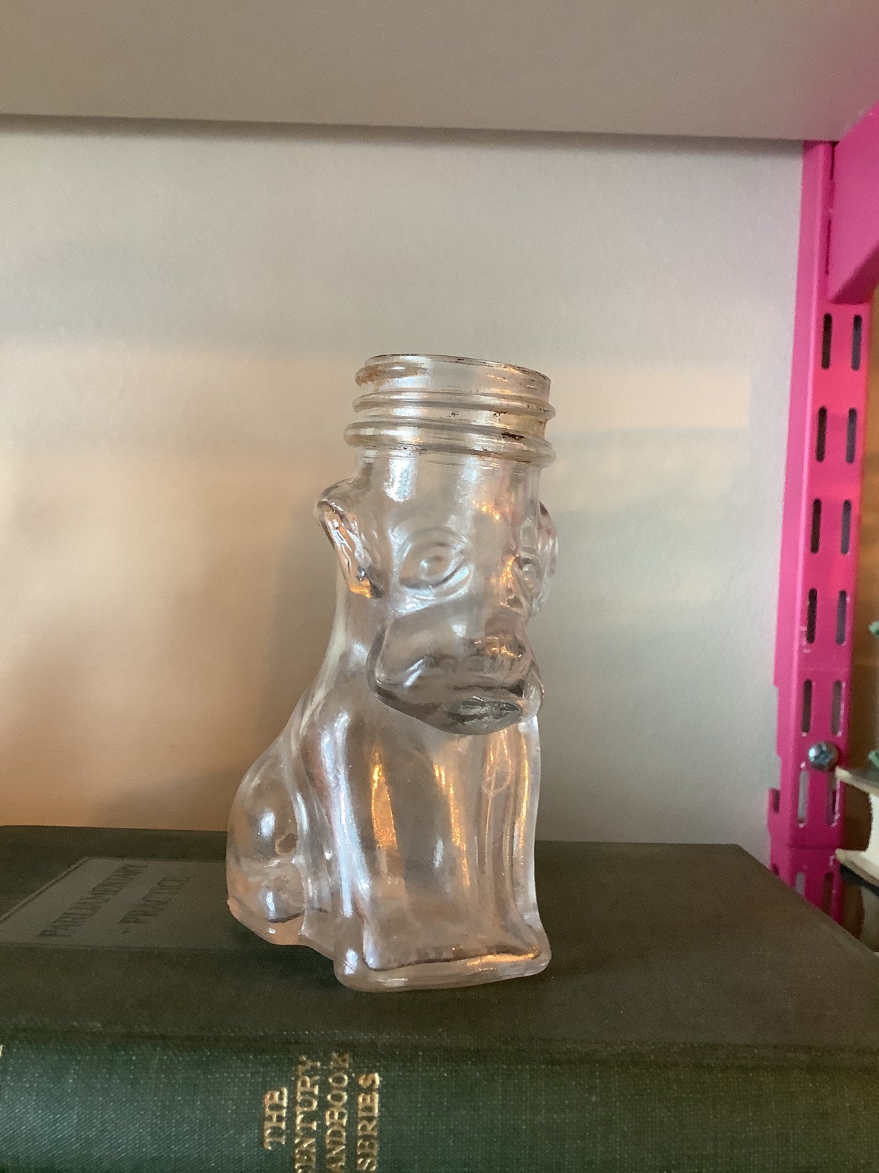 Vintage Glassware -  Vintage Glass Dog bottle