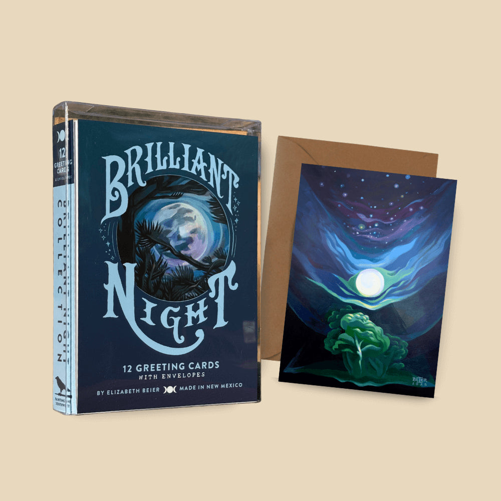 Elizabeth Beier - Painting the Southwest - Brilliant Night 12 Set of Greeting Cards