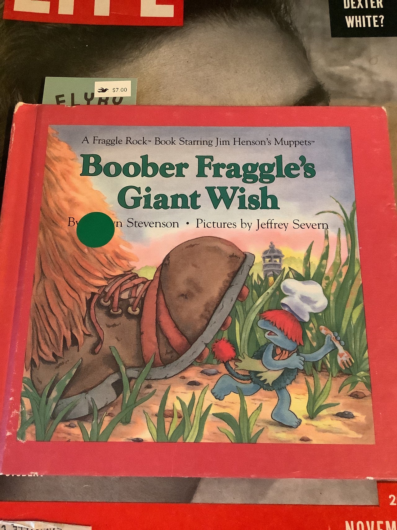 Flyby Provisions - Vintage book - Boober Fraggles Giant Wish