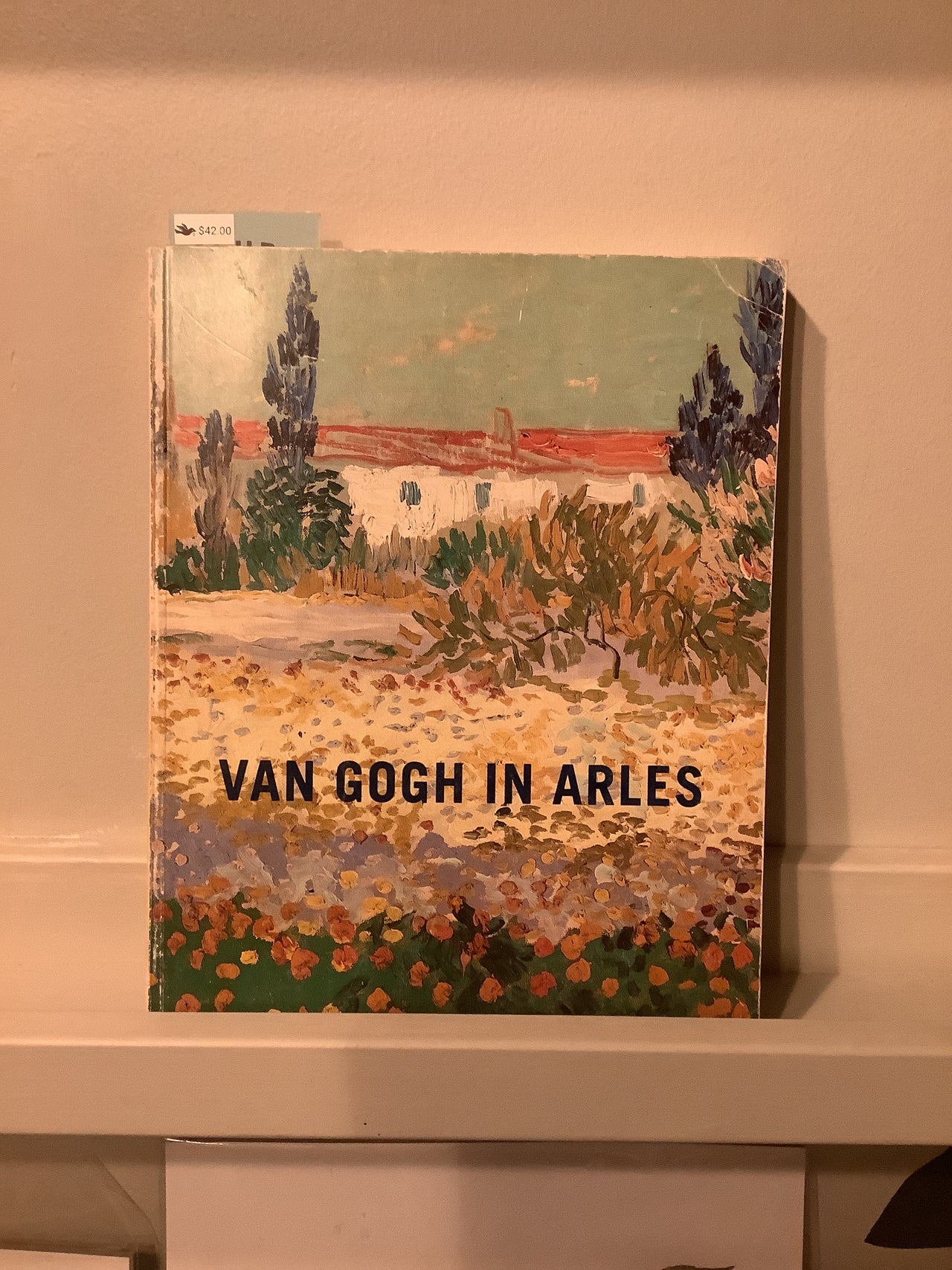Flyby Provisions - Vintage book - Van Gogh in Arles