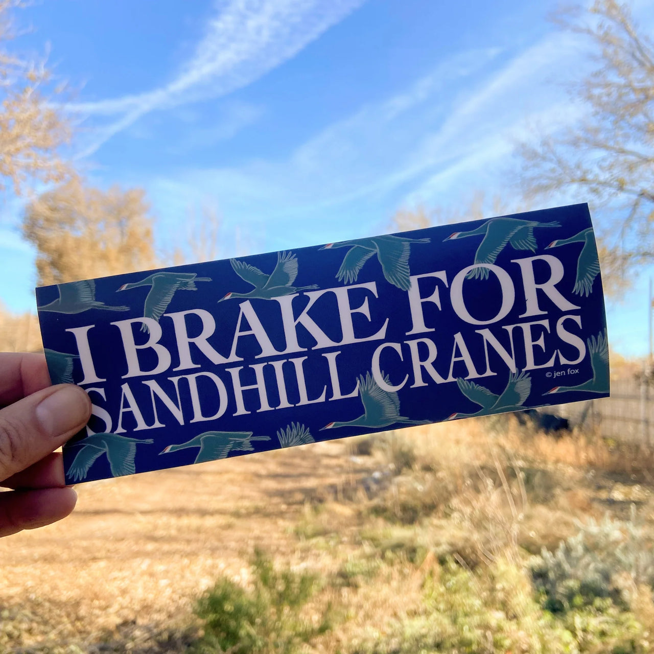 Jen Fox - I Brake For Sandhill Cranes Bumper Sticker