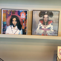 Flyby Provisions - Vintage Art - Bjork Album Cover Prints