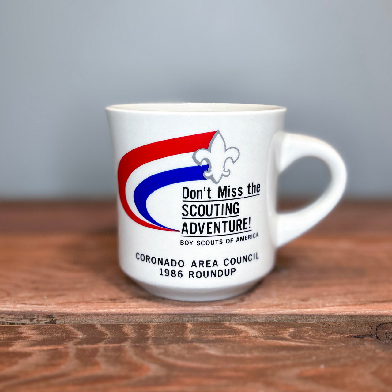 Flyby - Vintage Mug - Boy Scouts Assorted Mugs (12oz)