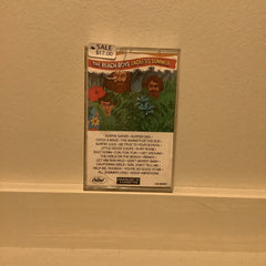Cassette Tapes - The Beach Boys endless summer