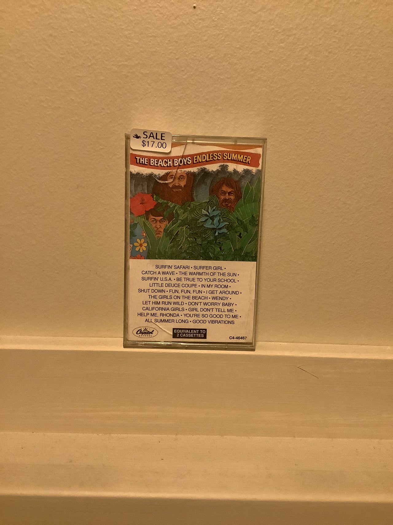 Cassette Tapes - The Beach Boys endless summer