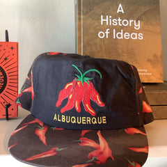 Flyby Provisions - Vintage Clothing - Vintage Albuquerque Chile Cap