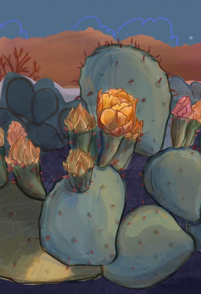(Copy) Fenn Fire Studio - Postcard - Foothills Prickly Pear Yellow Flowers