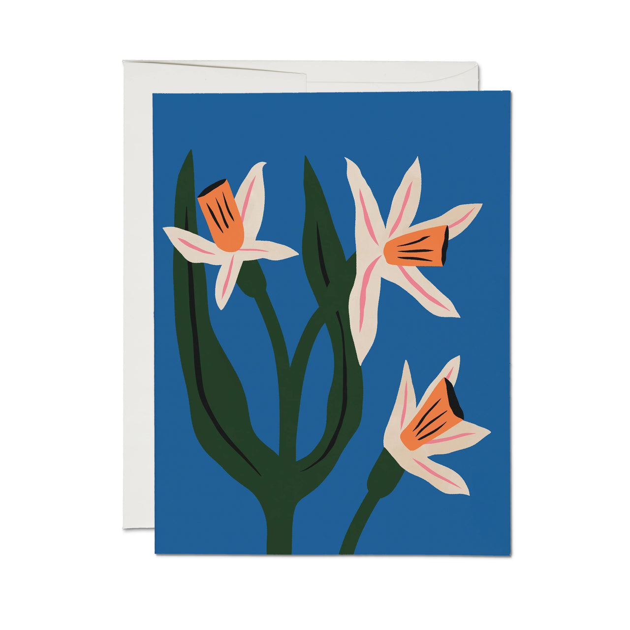 Blue Daffodils Greeting Card : Single