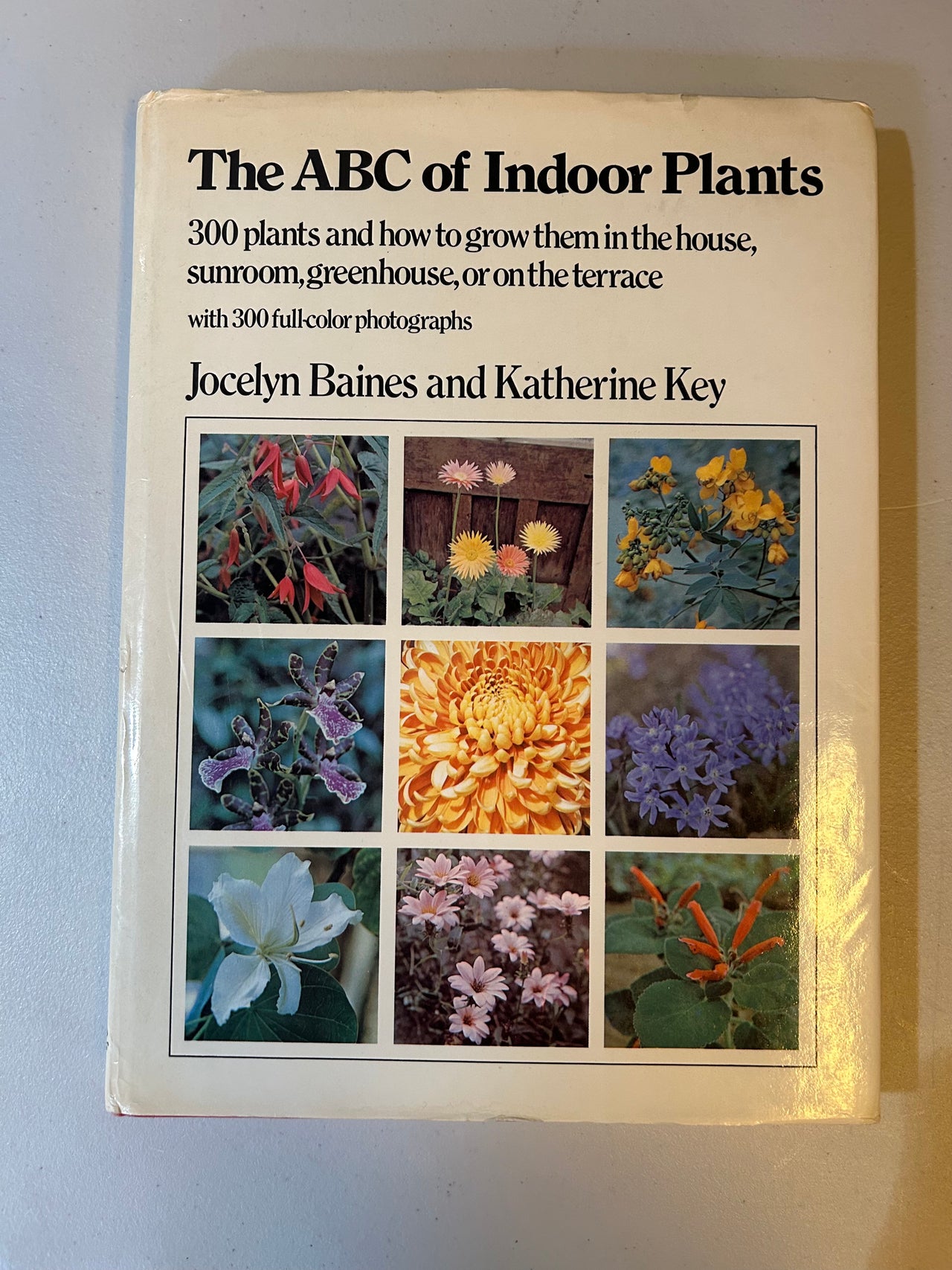 Flyby - Vintage book - The ABC of Indoor Plants