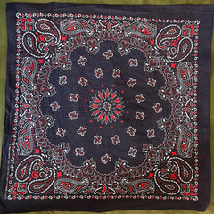 Flyby Provisions -  Bandana - Blue Paisley