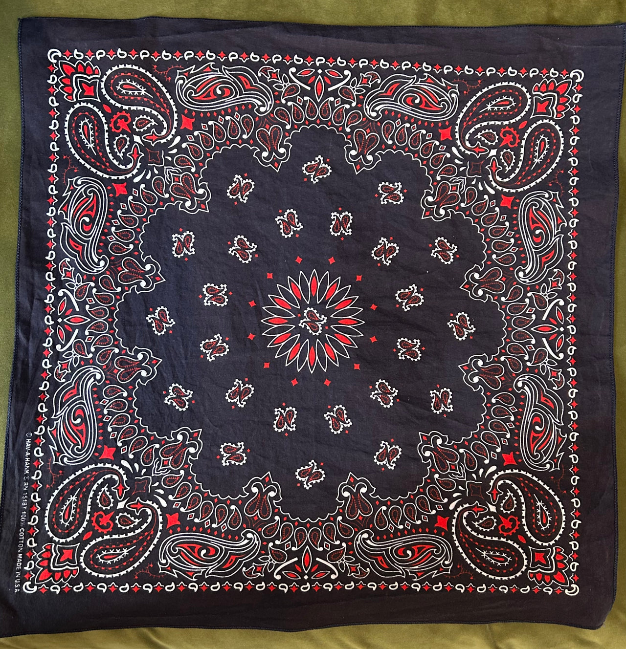 Flyby Provisions -  Bandana - Blue Paisley