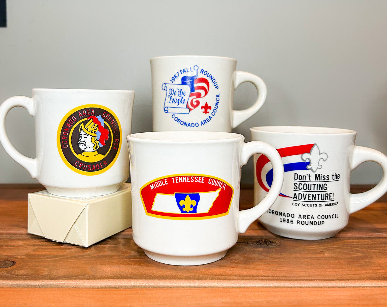 Flyby - Vintage Mug - Boy Scouts Assorted Mugs (12oz)