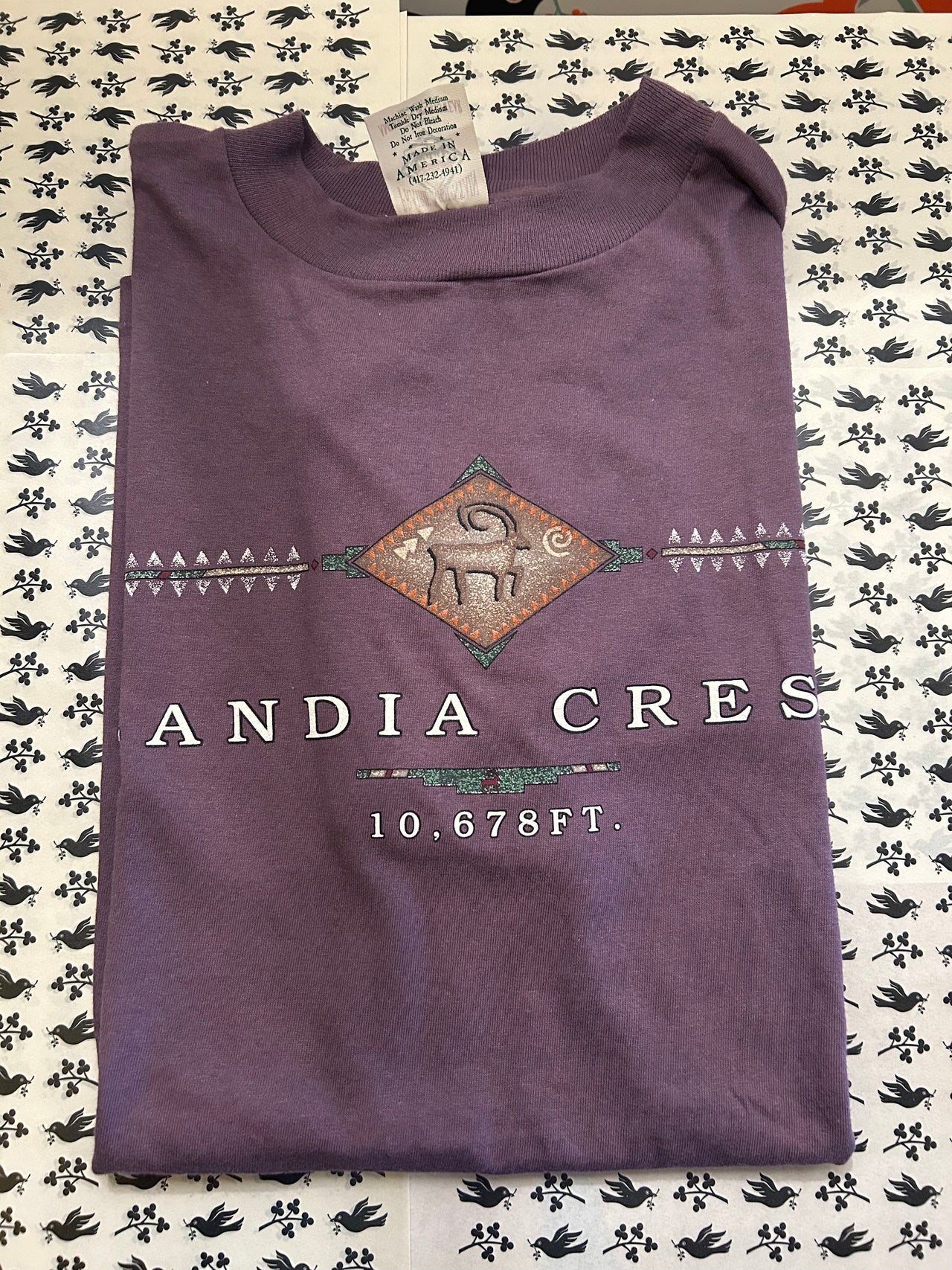 Flyby - Vintage Clothing - Sandia Crest Tee