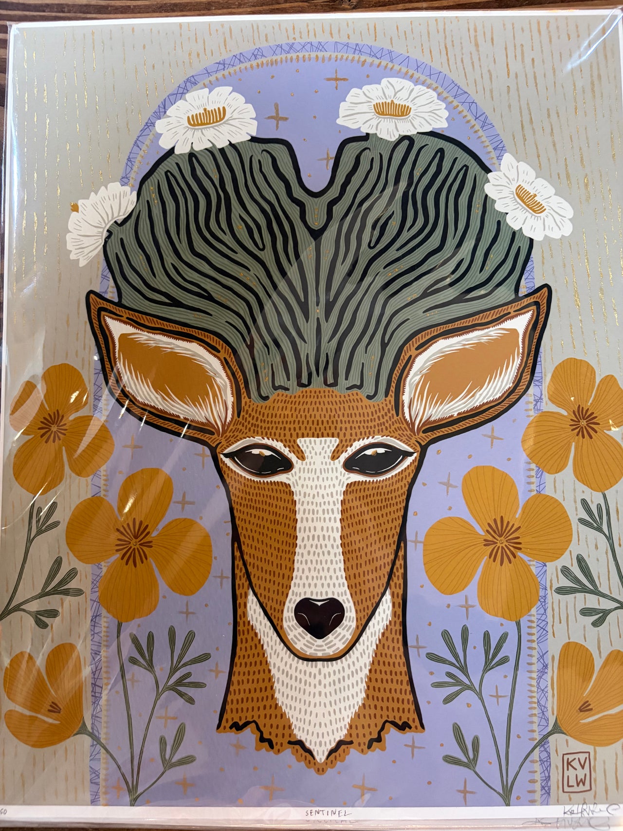 Seed Pod Design - 11x14 Standard Prints - Sentinel