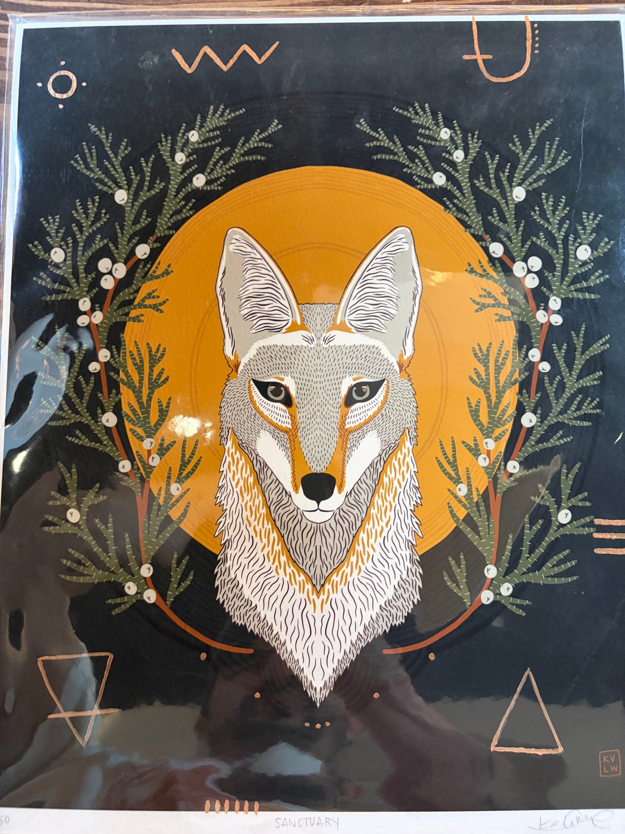 Seed Pod Design - 11x14 Standard Prints - Sanctuary